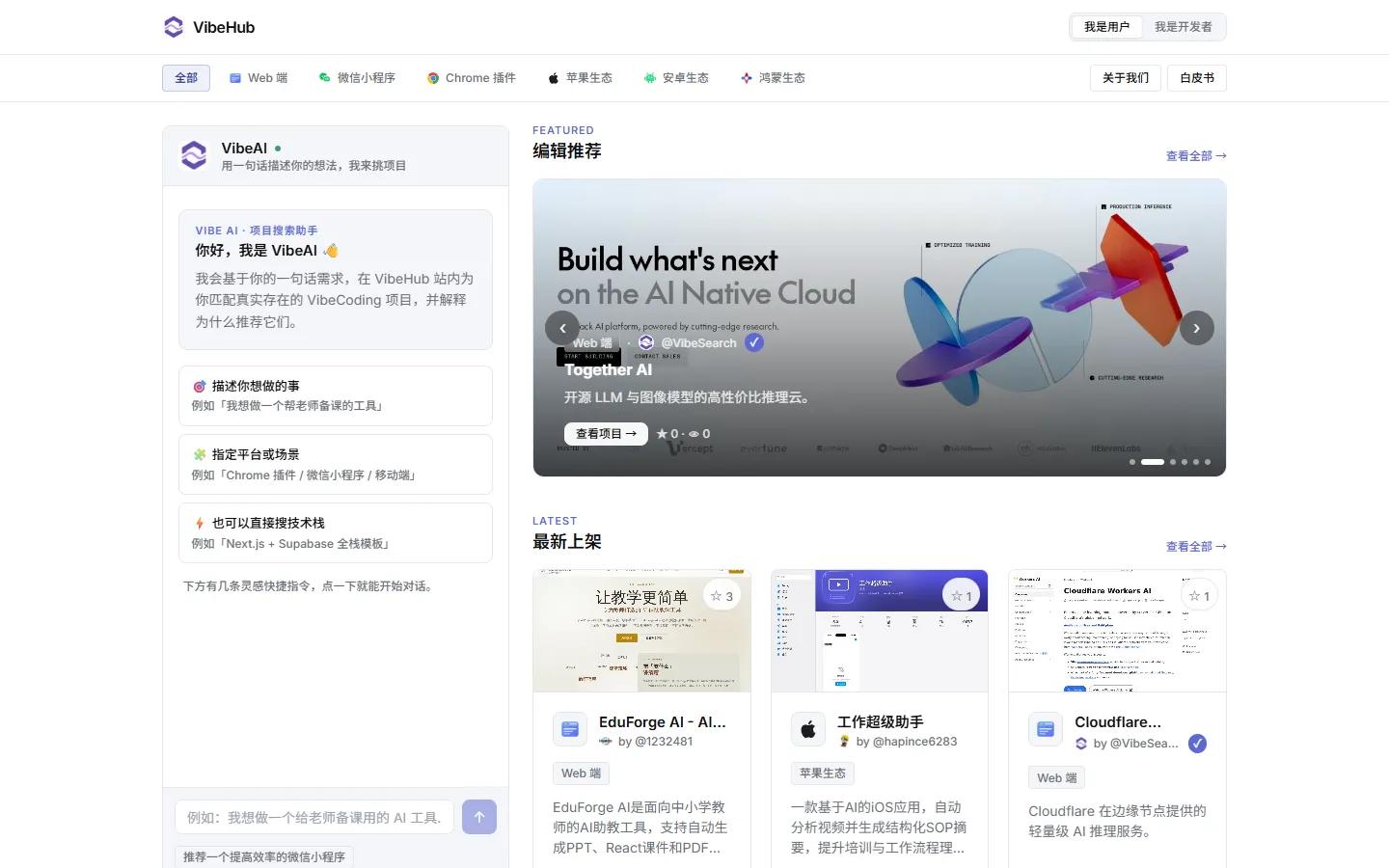 VibeHub 项目详情实际截图